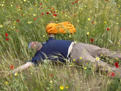 blumenwiese